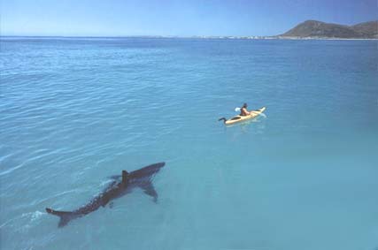 A Fairly Tense Experience