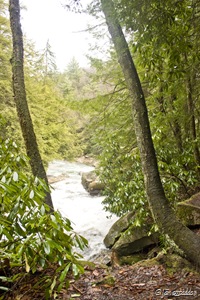 An not-so-common unobstructed view from the river-side trail