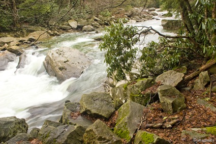 "How excellent is Thy Name in all the earth."