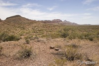 A snap-shot from the road side.