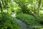 ...and off-road trails!