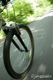 Speeding through the forest!