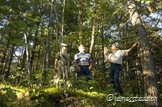 A hike through the woods