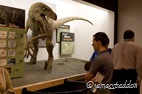 Robert reads about dinosaurs