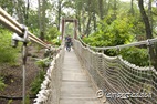 Robert coming full speed through the botanical gardens