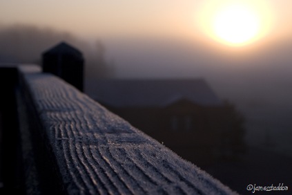A frosty morning sunrise