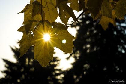 The sun sets over the autumn landscape