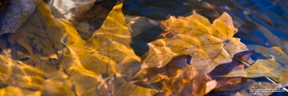 Rippling color