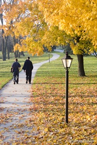Taking a morning stroll