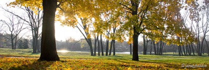 Fall morning