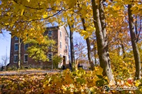 Color surrounding Graue Mill