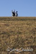 Hike to the top of a hill