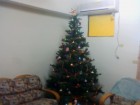 Wes and Junes made sure that last year\'s Christmas tree made it to Ping Tung