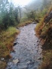 Sometimes the trail was a stream. My plastic-bag-lined shoes did well, but not like the guide\'s reinforced rubber boots.
