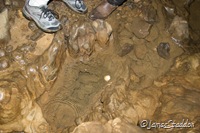 Watch where you step . . .