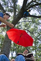 The Knight boys help me set up a picture for a photo contest