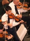 Concert and Beehives 012