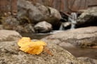 Peaceful waterfall
