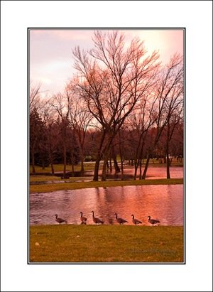 Evening Stroll - Nikon D70, 48mm, f/4.5, 1/5 sec, ISO 200