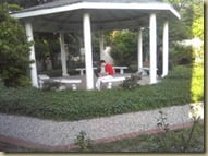 In the garden where we skyped home.
