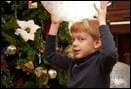 12-29-10_0013