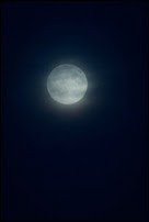 Moon picture_3448