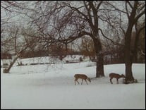 IMAG0432