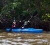 Kayaking in the Mangroves