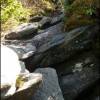 This was the pathway