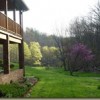 Remember Spring Spring morning