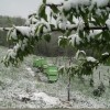 Late April Snow! April 23, 2012 snowfall