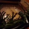 Christmas at Our House