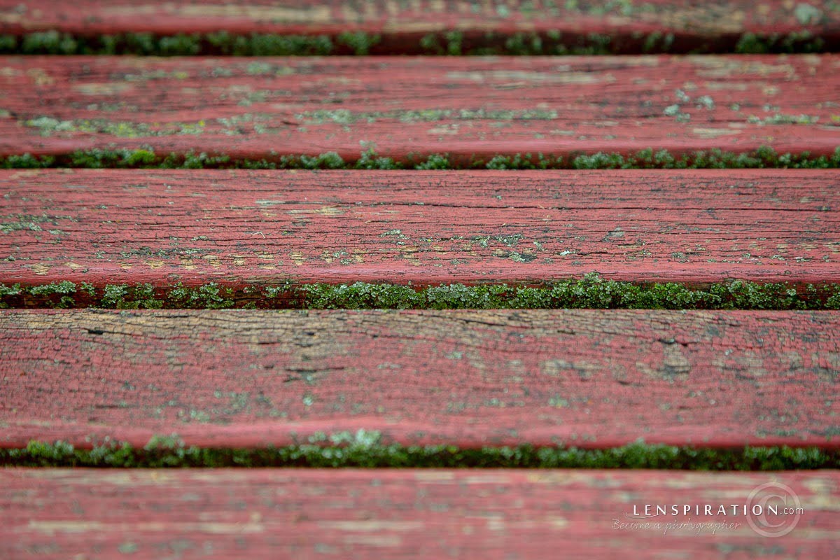 210715_James Staddon_0158 Canon EOS 5D Mark III, 105 mm, 1-40 sec at f - 5.6, ISO 100