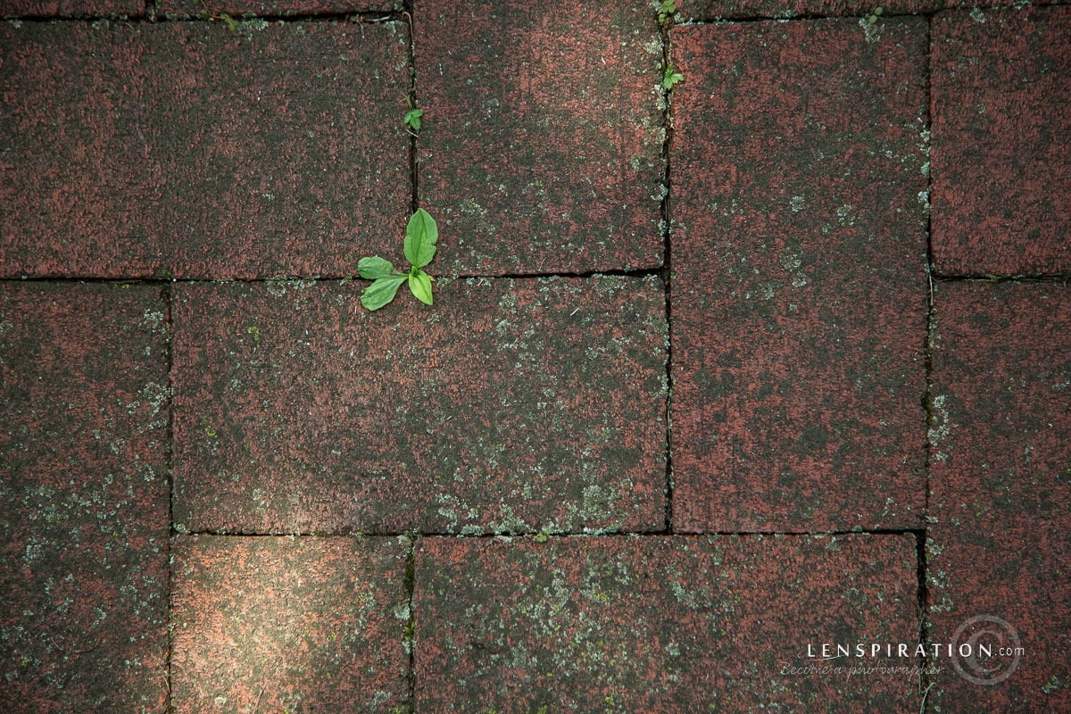 210715_James Staddon_0162 Canon EOS 5D Mark III, 105 mm, 1-160 sec at f - 4.0, ISO 100