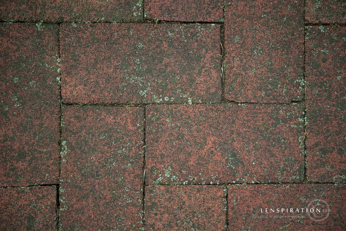 210715_James Staddon_0164 Canon EOS 5D Mark III, 105 mm, 1-125 sec at f - 4.0, ISO 100