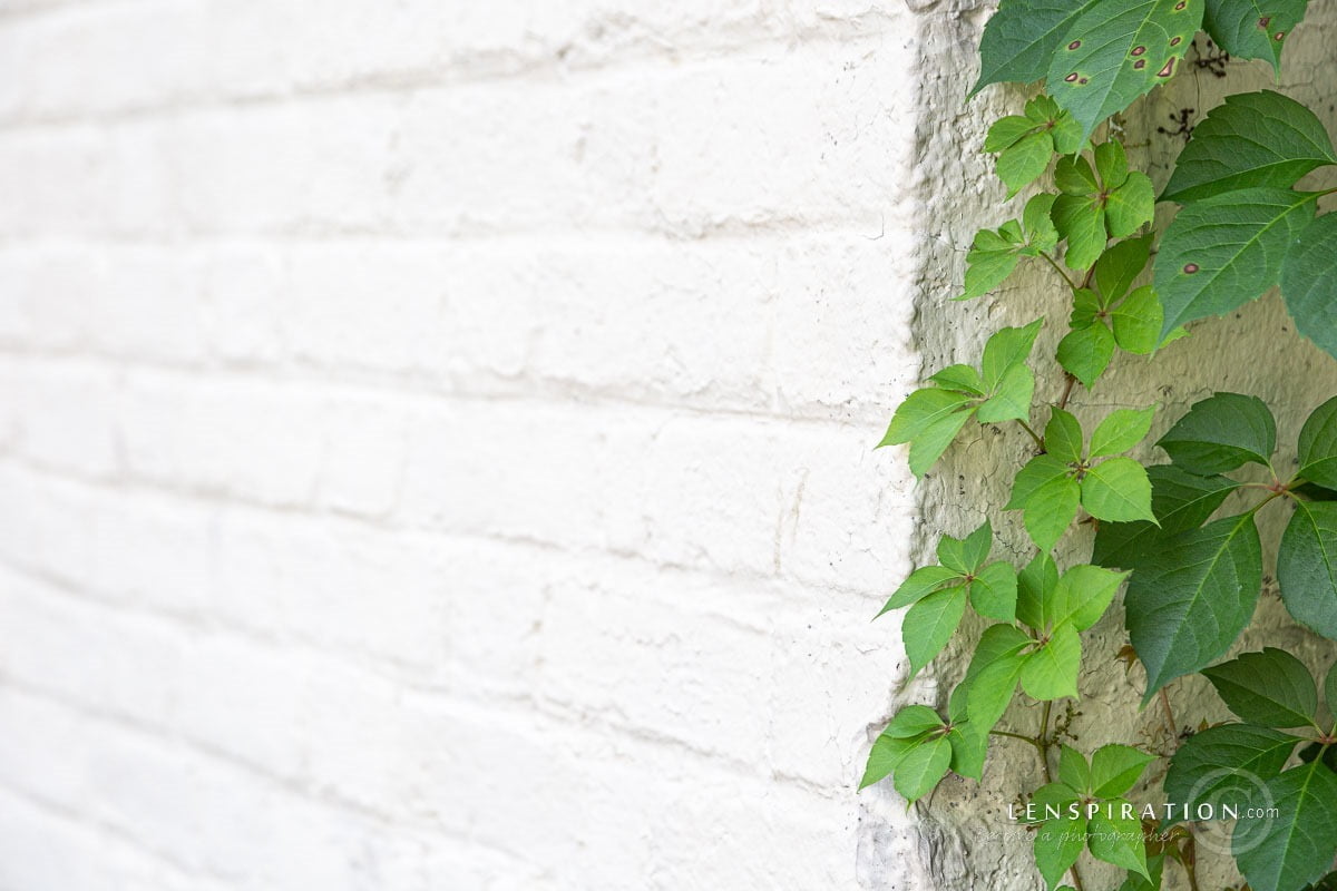 210715_James Staddon_0203 Canon EOS 5D Mark III, 105 mm, 1-100 sec at f - 5.6, ISO 100