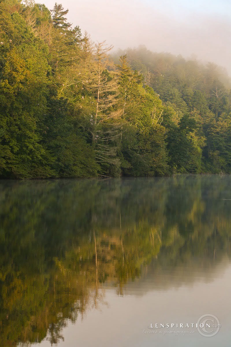 210824_James Staddon_1380 Canon EOS 5D Mark III, 105 mm, 1-50 sec at f - 8.0, ISO 100