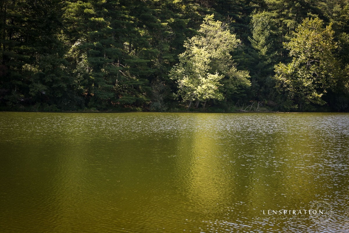 210824_James Staddon_1401 Canon EOS 5D Mark III, 67 mm, 1-80 sec at f - 8.0, ISO 100