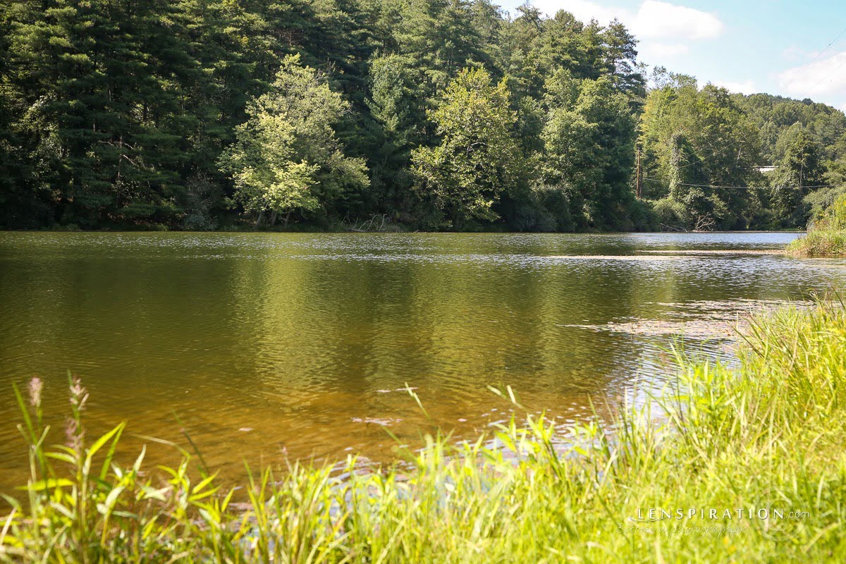 210824_James Staddon_1402 Canon EOS 5D Mark III, 50 mm, 1-80 sec at f - 8.0, ISO 100