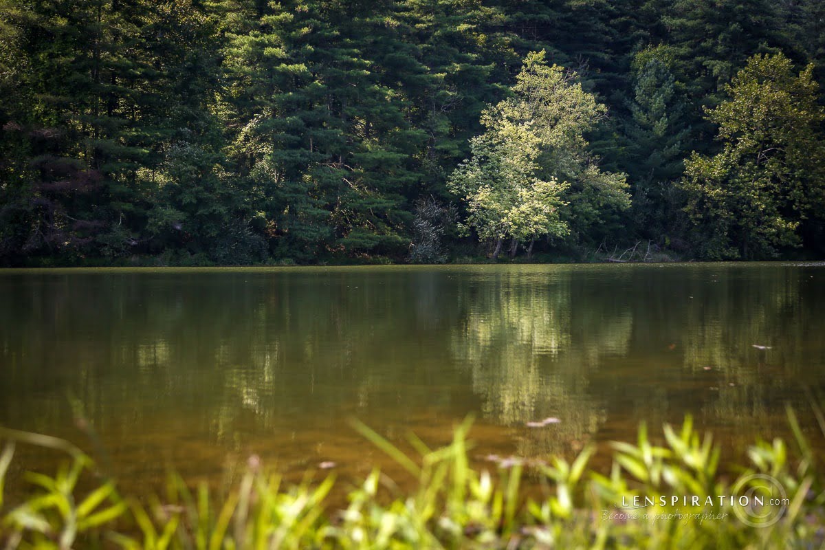 210824_James Staddon_1420 Canon EOS 5D Mark III, 58 mm, 1-320 sec at f - 4.0, ISO 100