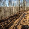 What March is Like in West Virginia 230224_James-Staddon_2967-Canon-EOS-7D-Mark-II-16-mm-1-160-sec-at-f-5.6-ISO-100.jpg
