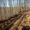 What March is Like in West Virginia 230224_James-Staddon_2967-Canon-EOS-7D-Mark-II-16-mm-1-160-sec-at-f-5.6-ISO-100.jpg