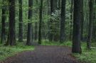 {huntly} The trail to the marsh