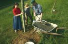 Working together to set posts in concrete