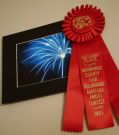 Burst of Fire - 2nd place in Special Effects