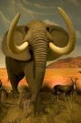 The gigantic Elephant.
