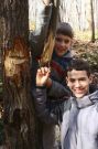 Jonathan located a bullet in an unfortunate tree which happened to be behind the target
