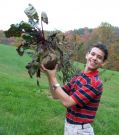 {Hard to Beet} Jonathan heaves up our gigantic beet (photo: Esther)
