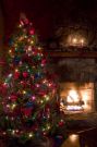 {impress} Cozy christmas tree
