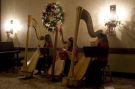 Live harp music during the banquet.